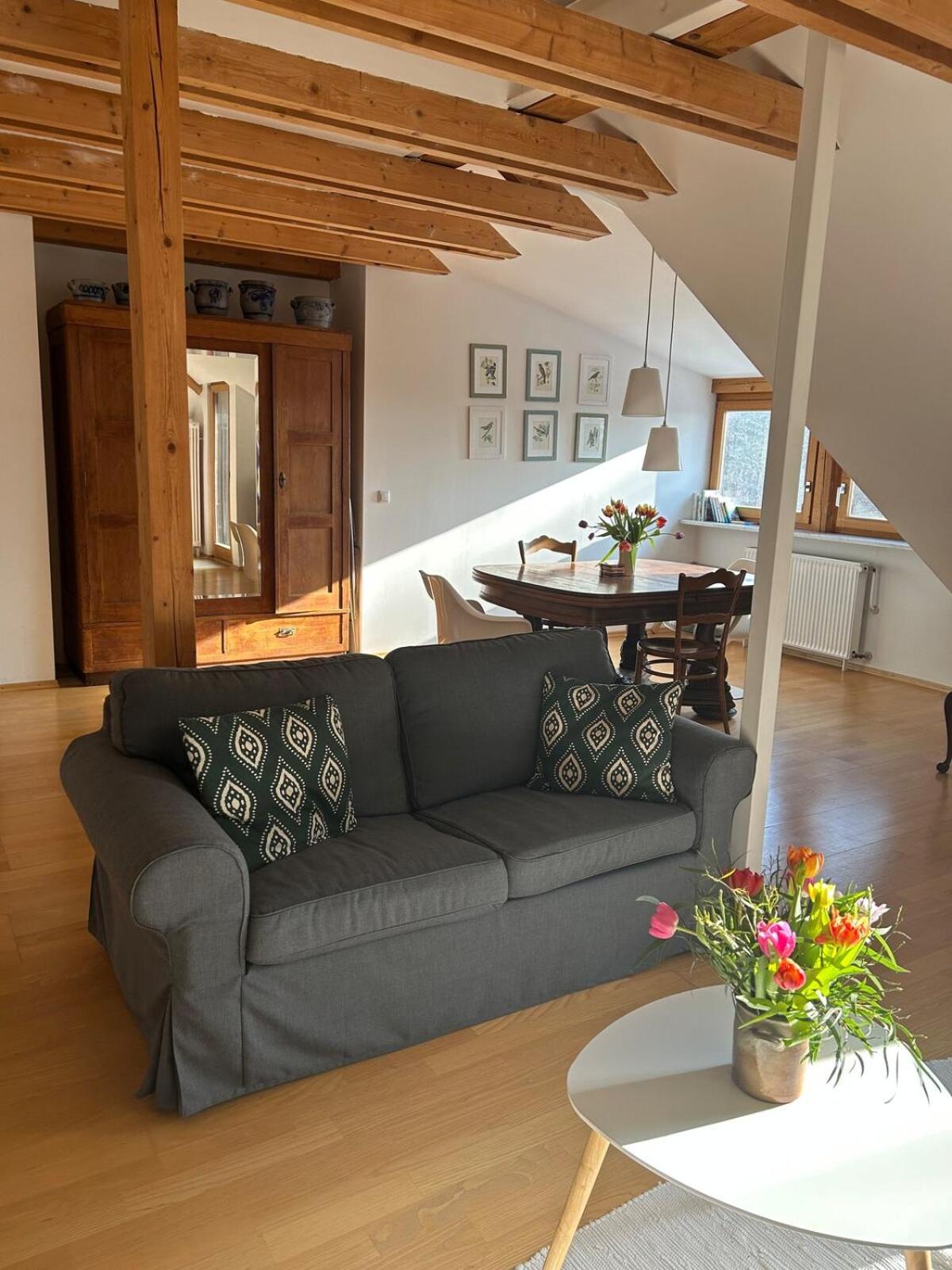 Grosse Wohnung Mit Dachterrasse In Starnberg Buitenkant foto